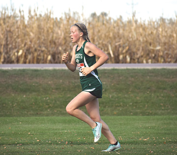 Area runners to compete at state C-C meet | News, Sports, Jobs - The ...